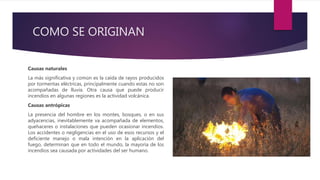 COMO SE ORIGINAN
Causas naturales
La más significativa y común es la caída de rayos producidos
por tormentas eléctricas, principalmente cuando estas no son
acompañadas de lluvia. Otra causa que puede producir
incendios en algunas regiones es la actividad volcánica.
Causas antrópicas
La presencia del hombre en los montes, bosques, o en sus
adyacencias, inevitablemente va acompañada de elementos,
quehaceres o instalaciones que pueden ocasionar incendios.
Los accidentes o negligencias en el uso de esos recursos y el
deficiente manejo o mala intención en la aplicación del
fuego, determinan que en todo el mundo, la mayoría de los
incendios sea causada por actividades del ser humano.
 