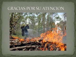 Incendios forestales en el ecuador