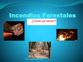 Incendios Forestales
             ¿Cómo se hacen?




    Franco Tabera- Cuarto Grado
 