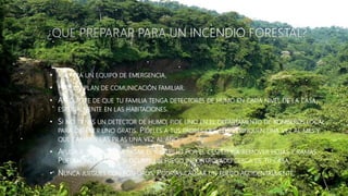 • PREPARA UN EQUIPO DE EMERGENCIA.
• HAZ UN PLAN DE COMUNICACIÓN FAMILIAR.
• ASEGÚRATE DE QUE TU FAMILIA TENGA DETECTORES DE HUMO EN CADA NIVEL DE LA CASA,
ESPECIALMENTE EN LAS HABITACIONES.
• SI NO TIENES UN DETECTOR DE HUMO, PIDE UNO EN EL DEPARTAMENTO DE BOMBEROS LOCAL
PARA OBTENER UNO GRATIS. PÍDELES A TUS PADRES QUE LOS VERIFIQUEN UNA VEZ AL MES Y
QUE CAMBIEN LAS PILAS UNA VEZ AL AÑO.
• AYUDA A TUS PADRES A PASAR EL RASTRILLO POR EL CÉSPED Y A REMOVER HOJAS Y RAMAS.
PUEDEN INCENDIARSE SI OCURRE UN FUEGO INCONTROLADO CERCA DE TU CASA.
• NUNCA JUEGUES CON FÓSFOROS. PODRÍAS CAUSAR UN FUEGO ACCIDENTALMENTE.
 