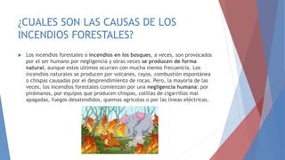 ¿CUALES SON LAS CAUSAS DE LOS
INCENDIOS FORESTALES?
 Los incendios forestales o incendios en los bosques, a veces, son provocados
por el ser humano por negligencia y otras veces se producen de forma
natural, aunque estos últimos ocurren con mucha menos frecuencia. Los
incendios naturales se producen por volcanes, rayos, combustión espontánea
o chispas causadas por el desprendimiento de rocas. Pero, la mayoría de las
veces, los incendios forestales comienzan por una negligencia humana: por
pirómanos, por equipos que producen chispas, colillas de cigarrillos mal
apagadas, fuegos desatendidos, quemas agrícolas o por las líneas eléctricas.
 
