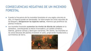 CONSECUENCIAS NEGATIVAS DE UN INCENDIO
FORESTAL
 Cuando la frecuencia de los incendios forestales en una región concreta es
alta, el impacto puede ser devastador. Se interrumpen los ciclos naturales de
los bosques y desaparecen las especies nativas, mientras que proliferan las
plantas invasoras.
 Los incendios forestales aumentan los niveles de dióxido de carbono en la
atmósfera, contribuyendo al efecto invernadero y al cambio climático.
Además, generan cenizas y destruyen nutrientes. Por último, los incendios en
las zonas boscosas del planeta erosionan el suelo, propiciando inundaciones y
corrimientos de tierra.
 