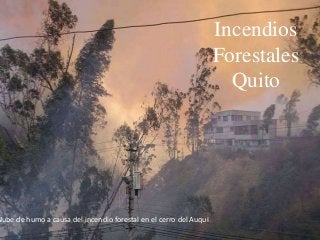 Nube de humo a causa del incendio forestal en el cerro del Auqui
Incendios
Forestales
Quito
 