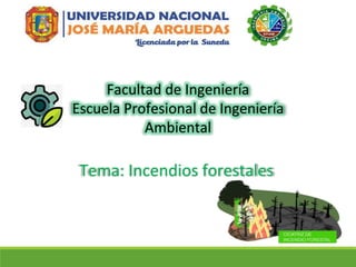 Tema: Incendios forestales
Facultad de Ingeniería
Escuela Profesional de Ingeniería
Ambiental
 