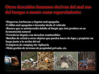 Otros descuidos humanos derivan del mal uso
del bosque o monte como esparcimiento:
•Hogueras, barbacoas o fogatas mal apagadas
•Colillas mal apagadas o lanzadas desde el vehículo
•Basura que se autoincendia debido al biogás que ésta produce en su
fermentación natural
•Vertederos ilegales con desechos combustibles
•Botellas de cristal u otros objetos que pueden hacer de lupa y propiciar un
fuego junto a la acción del sol
•Lámparas de camping sin vigilancia
•Mala gestión de terrenos de propiedad privada, etc.
 