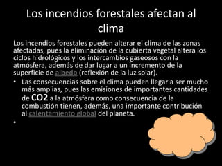 Los incendios forestales afectan al
clima
Los incendios forestales pueden alterar el clima de las zonas
afectadas, pues la eliminación de la cubierta vegetal altera los
ciclos hidrológicos y los intercambios gaseosos con la
atmósfera, además de dar lugar a un incremento de la
superficie de albedo (reflexión de la luz solar).
• Las consecuencias sobre el clima pueden llegar a ser mucho
más amplias, pues las emisiones de importantes cantidades
de CO2 a la atmósfera como consecuencia de la
combustión tienen, además, una importante contribución
al calentamiento global del planeta.
•
 