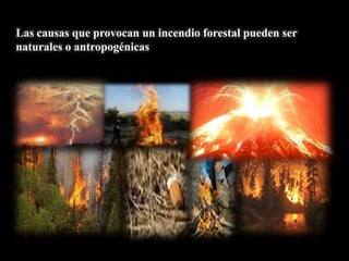 Las causas que provocan un incendio forestal pueden ser
naturales o antropogénicas
 