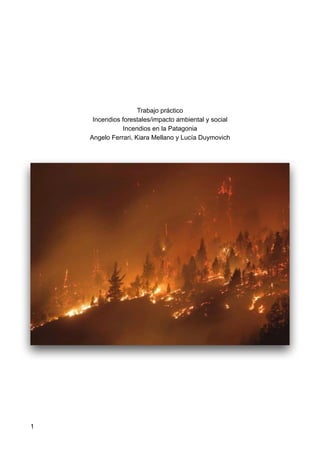 Trabajo práctico


Incendios forestales/impacto ambiental y social


Incendios en la Patagonia


Angelo Ferrari, Kiara Mellano y Lucía Duymovich




1
 