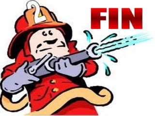 FIN