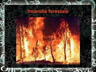 Incendis forestals




                     1
 