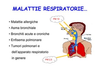 Incenerimento e rischi per la salute