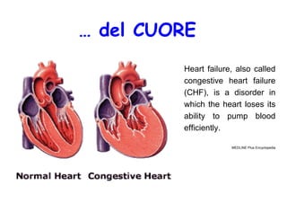 Incenerimento e rischi per la salute