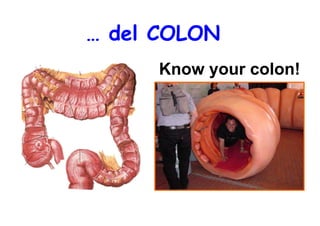 Incenerimento e rischi per la salute