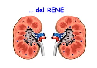 Incenerimento e rischi per la salute