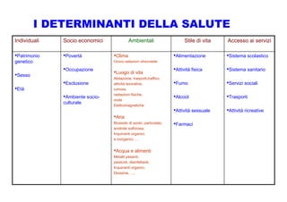 Incenerimento e rischi per la salute