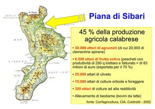 Incenerimento e rischi per la salute