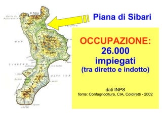 Incenerimento e rischi per la salute