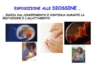 Incenerimento e rischi per la salute