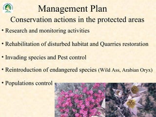 Research and monitoring activities Rehabilitation of disturbed habitat and Quarries restoration Invading species and Pest control Reintroduction of endangered species  (Wild Ass, Arabian Oryx) Populations control Conservation actions in the protected areas Management Plan 