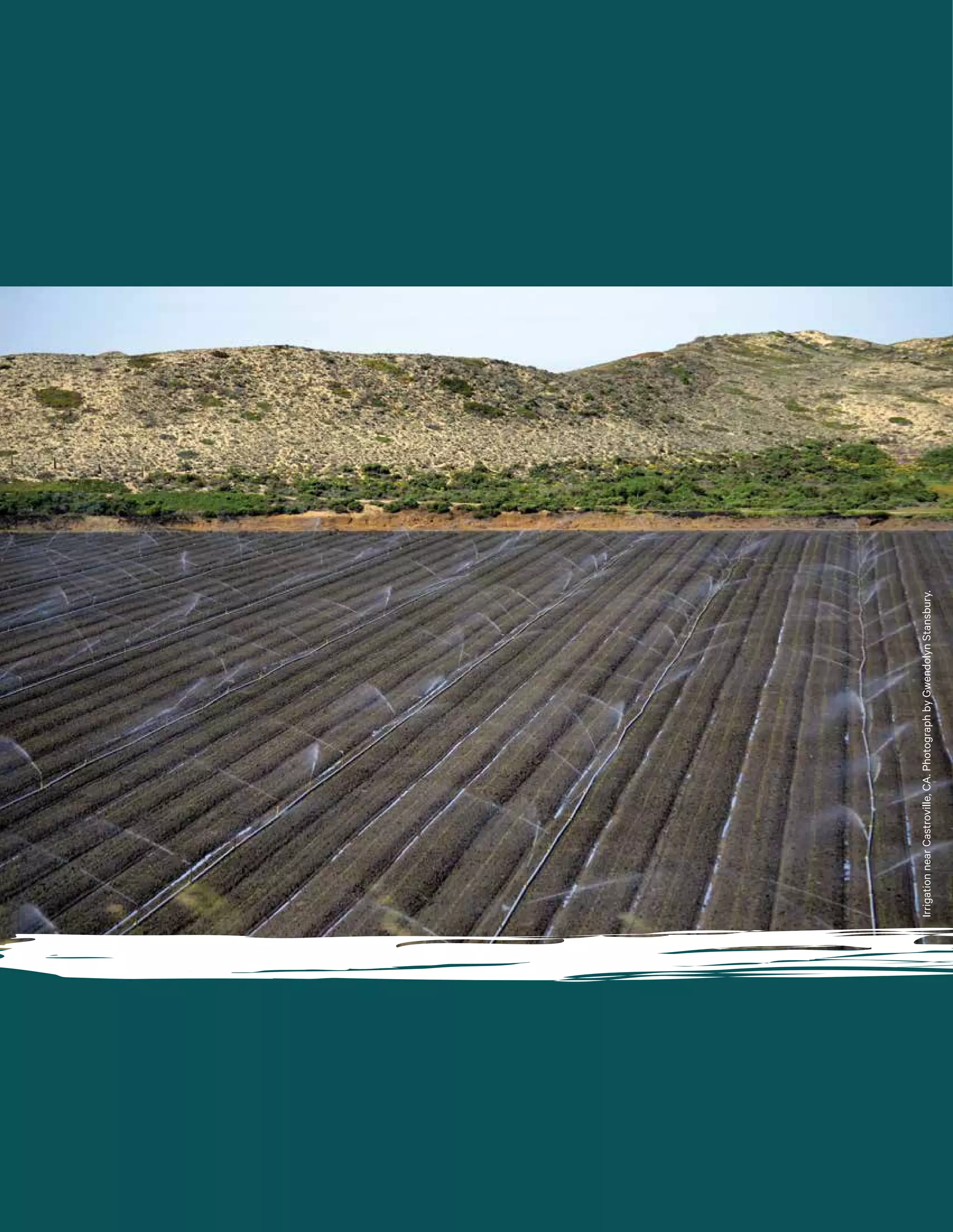 IrrigationnearCastroville,CA.PhotographbyGwendolynStansbury.
 