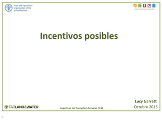 1
Incentivos posibles
Incentives for Ecosystem Services in Agriculture (IES)
Lucy Garrett
Octubre 2015Incentives for Ecosystem Services (IES)
 