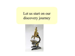 Let us start on our
discovery journey
 