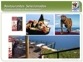 Restaurantes  Selecionados (Passeio ao Cabo da Boa Esperança ) 