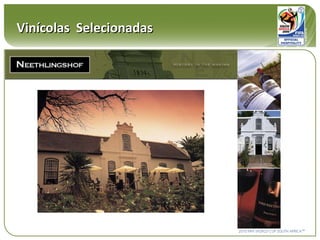 Vinícolas  Selecionadas 