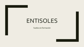 ENTISOLES
Suelos sin formación
 