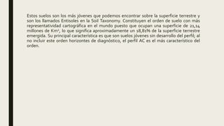 Estos suelos son los más jóvenes que podemos encontrar sobre la superficie terrestre y
son los llamados Entisoles en la Soil Taxonomy. Constituyen el orden de suelo con más
representatividad cartográfica en el mundo puesto que ocupan una superficie de 21,14
millones de Km2, lo que significa aproximadamente un 18,81% de la superficie terrestre
emergida. Su principal característica es que son suelos jóvenes sin desarrollo del perfil; al
no incluir este orden horizontes de diagnóstico, el perfil AC es el más característico del
orden.
 