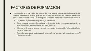FACTORES DE FORMACIÓN
■ Los entisoles son, de todos los suelos, los que menos han tenido influencia de los
factores formadores puesto que aún no se han desarrollado los cambios necesarios
para la formación del suelo. Las principales causas de dicho “no desarrollo” se deben a:
– Un periodo de formación muy corto (factor tiempo).
– Situaciones de hidromorfismo donde el desarrollo de los horizontes pedogenéticos
está ralentizado por la presencia de capas freáticas.
– Abundacia de cuarzo u otros minerales primarios de muy difícil alteración (factor
material parental).
– Repetidos aportes de materiales de origen aluvial que van rejuveneciendo el perfil
(factor topografía).
 