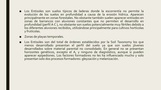 ■ Los Entisoles son suelos típicos de laderas donde la escorrentía no permite la
evolución de los suelos en profundidad a causa de la erosión hídrica. Aparecen
principalmente en zonas forestales. No obstante también suelen aparecer entisoles en
zonas de barrancos con aluviones constantes que no permiten el desarrollo en
profundidad (perfil A C ), no obstante son suelos potencialmente muy fértiles debido a
los diferentes aluviones recibidos, utilizándose principalmente para cultivos hortícolas
y frutícolas.
■ Zonas de playas temporales.
■ Los Entisoles son del total de órdenes establecidos por la Soil Taxonomy los que
menos desarrollado presentan el perfil del suelo ya que son suelos jóvenes
desarrollados sobre material parental no consolidado. En general no se presentan
horizontes genéticos, excepto el A, y ninguno de diagnóstico, aunque si pueden
aparecer epipediones. Los factores formadores no les ha influenciado mucho y solo
presentan solo dos procesos formadores: gleyzación y melanización.
 