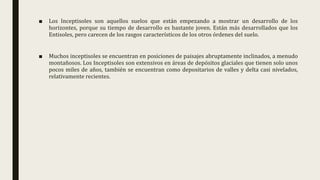 ■ Los Inceptisoles son aquellos suelos que están empezando a mostrar un desarrollo de los
horizontes, porque su tiempo de desarrollo es bastante joven. Están más desarrollados que los
Entisoles, pero carecen de los rasgos característicos de los otros órdenes del suelo.
■ Muchos inceptisoles se encuentran en posiciones de paisajes abruptamente inclinados, a menudo
montañosos. Los Inceptisoles son extensivos en áreas de depósitos glaciales que tienen solo unos
pocos miles de años, también se encuentran como depositarios de valles y delta casi nivelados,
relativamente recientes.
 
