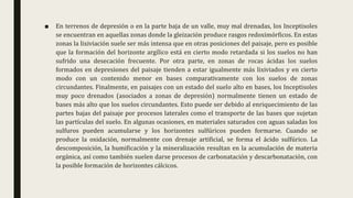 ■ En terrenos de depresión o en la parte baja de un valle, muy mal drenadas, los Inceptisoles
se encuentran en aquellas zonas donde la gleización produce rasgos redoximórficos. En estas
zonas la lixiviación suele ser más intensa que en otras posiciones del paisaje, pero es posible
que la formación del horizonte argílico está en cierto modo retardada si los suelos no han
sufrido una desecación frecuente. Por otra parte, en zonas de rocas ácidas los suelos
formados en depresiones del paisaje tienden a estar igualmente más lixiviados y en cierto
modo con un contenido menor en bases comparativamente con los suelos de zonas
circundantes. Finalmente, en paisajes con un estado del suelo alto en bases, los Inceptisoles
muy poco drenados (asociados a zonas de depresión) normalmente tienen un estado de
bases más alto que los suelos circundantes. Esto puede ser debido al enriquecimiento de las
partes bajas del paisaje por procesos laterales como el transporte de las bases que sujetan
las partículas del suelo. En algunas ocasiones, en materiales saturados con aguas saladas los
sulfuros pueden acumularse y los horizontes sulfúricos pueden formarse. Cuando se
produce la oxidación, normalmente con drenaje artificial, se forma el ácido sulfúrico. La
descomposición, la humificación y la mineralización resultan en la acumulación de materia
orgánica, así como también suelen darse procesos de carbonatación y descarbonatación, con
la posible formación de horizontes cálcicos.
 
