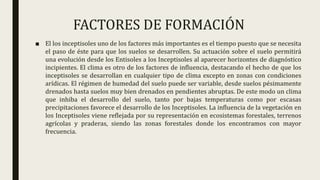 FACTORES DE FORMACIÓN
■ El los inceptisoles uno de los factores más importantes es el tiempo puesto que se necesita
el paso de éste para que los suelos se desarrollen. Su actuación sobre el suelo permitirá
una evolución desde los Entisoles a los Inceptisoles al aparecer horizontes de diagnóstico
incipientes. El clima es otro de los factores de influencia, destacando el hecho de que los
inceptisoles se desarrollan en cualquier tipo de clima excepto en zonas con condiciones
arídicas. El régimen de humedad del suelo puede ser variable, desde suelos pésimamente
drenados hasta suelos muy bien drenados en pendientes abruptas. De este modo un clima
que inhiba el desarrollo del suelo, tanto por bajas temperaturas como por escasas
precipitaciones favorece el desarrollo de los Inceptisoles. La influencia de la vegetación en
los Inceptisoles viene reflejada por su representación en ecosistemas forestales, terrenos
agrícolas y praderas, siendo las zonas forestales donde los encontramos con mayor
frecuencia.
 