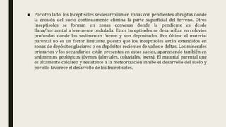 ■ Por otro lado, los Inceptisoles se desarrollan en zonas con pendientes abruptas donde
la erosión del suelo continuamente elimina la parte superficial del terreno. Otros
Inceptisoles se forman en zonas convexas donde la pendiente es desde
llana/horizontal a levemente ondulada. Estos Inceptisoles se desarrollan en coluvios
profundos donde los sedimentos fueron y son depositados. Por último el material
parental no es un factor limitante, puesto que los inceptisoles están extendidos en
zonas de depósitos glaciares o en depósitos recientes de valles o deltas. Los minerales
primarios y los secundarios están presentes en estos suelos, apareciendo también en
sedimentos geológicos jóvenes (aluviales, coluviales, loess). El material parental que
es altamente calcáreo y resistente a la meteorización inhibe el desarrollo del suelo y
por ello favorece el desarrollo de los Inceptisoles.
 