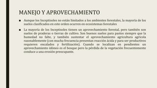 MANEJO Y APROVECHAMIENTO
■ Aunque los Inceptisoles no están limitados a los ambientes forestales, la mayoría de los
suelos clasificados en este orden ocurren en ecosistemas forestales
■ La mayoría de los Inceptisoles tienen un aprovechamiento forestal, pero también son
suelos de praderas o tierras de cultivo. Son buenos suelos para pastos siempre que la
humedad no falte, y también sustentar el aprovechamiento agricultura agrícola
razonablemente (con mucha frecuencia presentan reacción ácida y para ser productivos
requieren encalados y fertilización). Cuando se localizan en pendientes un
aprovechamiento idóneo es el bosque pero la pérdida de la vegetación frecuentemente
conduce a una erosión preocupante.
 