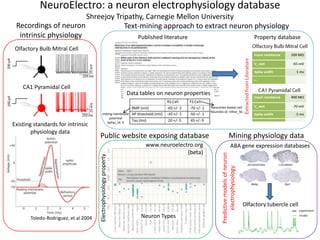 NeuroElectro: a neuron electrophysiology database
Shreejoy Tripathy, Carnegie Mellon University
Published literature Property database
Recordings of neuron
intrinsic physiology
Data tables on neuron properties
Neocortex basket cell
Neurolex id: nifext_56
resting membrane
potential
ephys_id: 3
CA1 Pyramidal Cell
Olfactory Bulb Mitral Cell
Toledo-Rodriguez, et al 2004
Text-mining approach to extract neuron physiology
Public website exposing database
Existing standards for intrinsic
physiology data
www.neuroelectro.org
(beta)
Neuron Types
Electrophysiologyproperty
Mining physiology data
ABA gene expression databases
Olfactory tubercle cell
Predictivemodelsofneuron
electrophysiology
 