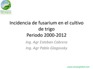 Incidencia de fusarium en el cultivo
de trigo
Periodo 2000-2012
Ing. Agr Esteban Cabrera
Ing. Agr Pablo Glagovsky
www.campoglobal.com
 