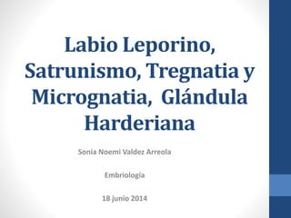 Labio Leporino,
Satrunismo, Tregnatia y
Micrognatia, Glándula
Harderiana
Sonia Noemi Valdez Arreola
Embriología
18 junio 2014
 