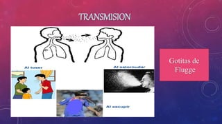 Incidencia y prevalencia de tuberculosis | PPTX
