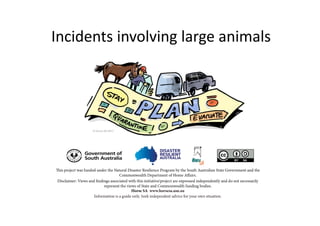 Incidents involving large animals
 