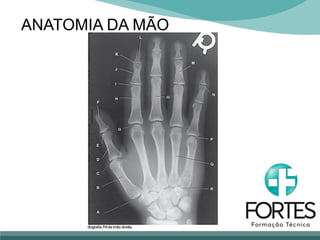 ANATOMIA DA MÃO
 