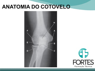 ANATOMIA DO COTOVELO
 