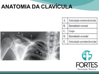 ANATOMIA DA CLAVÍCULA
 