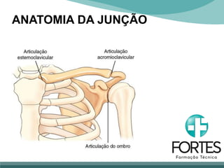ANATOMIA DA JUNÇÃO
 