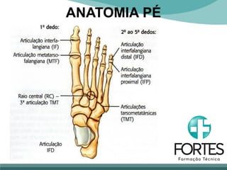 ANATOMIA PÉ
 