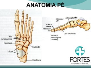 ANATOMIA PÉ
 