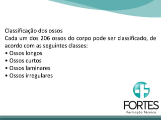 Classificação dos ossos
Cada um dos 206 ossos do corpo pode ser classificado, de
acordo com as seguintes classes:
• Ossos longos
• Ossos curtos
• Ossos laminares
• Ossos irregulares
 