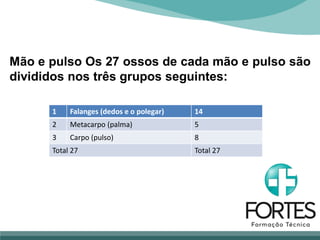 1 Falanges (dedos e o polegar) 14
2 Metacarpo (palma) 5
3 Carpo (pulso) 8
Total 27 Total 27
Mão e pulso Os 27 ossos de cada mão e pulso são
divididos nos três grupos seguintes:
 